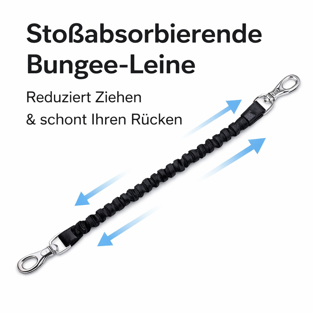 Die All-in-One Gassi-Lösung für Hundebesitzer